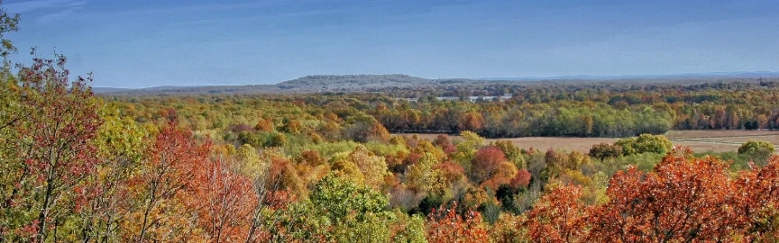 8 Best Things to Do in Jonesboro AR